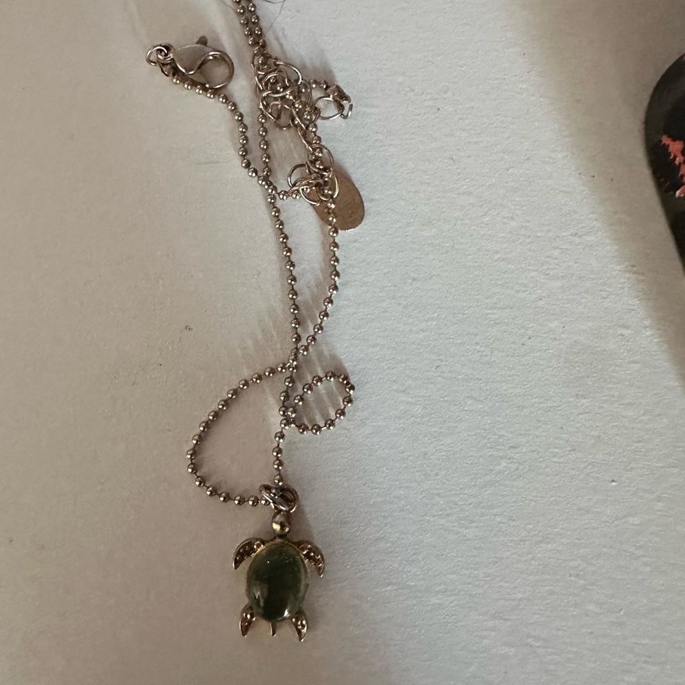 Claire’s Turtle Necklace (Mood Stone)